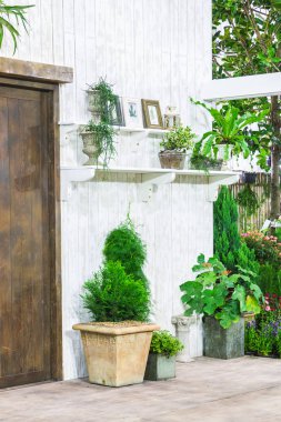 Rahat ev önünde Saksı bitkileri.