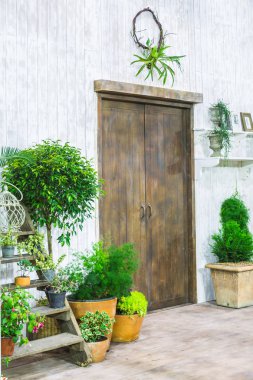 Rahat ev önünde Saksı bitkileri.