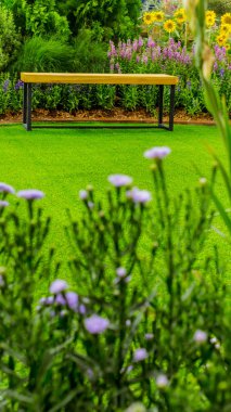 Rahatlatıcı rahat Bahçe alanında.