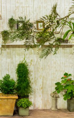 Rahatlatıcı rahat ev alanında.