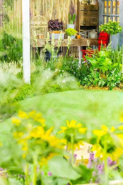 Camino de adoquines en el jardín . — Foto de Stock