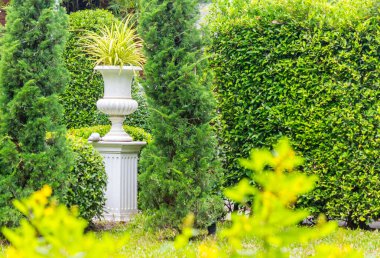 Gotik saksıyı Bahçe.