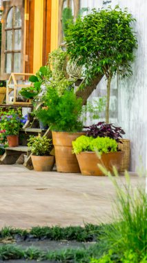 Rahatlatıcı rahat ev alanında.