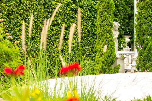 Entspannungsraum im gemütlichen Garten. — Stockfoto