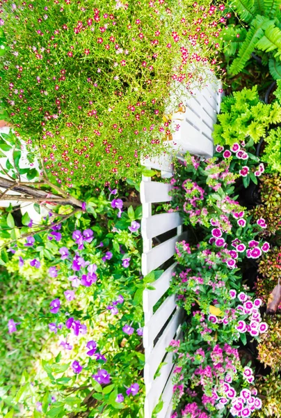 Topview vita staket i trädgården. — Stockfoto