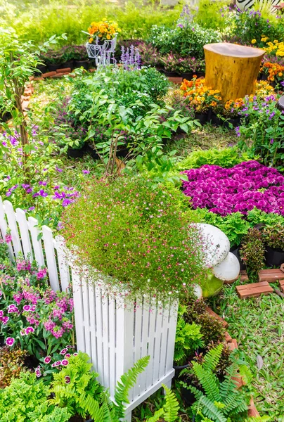 I hem trädgård. — Stockfoto