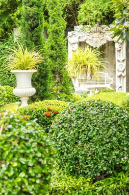 Gotik saksıyı Bahçe.