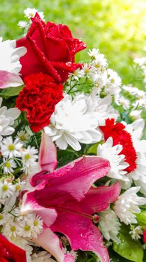 Kırmızı gül ve beyaz çiçekler buket.