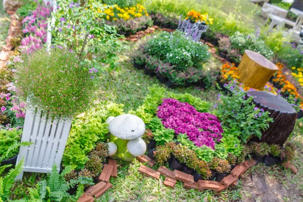 가정 정원에서. — 스톡 사진