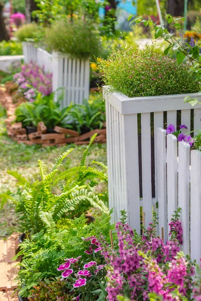 Home Garden White Picket Fence Surrounded Flowers Front Garden Summer — стоковое фото