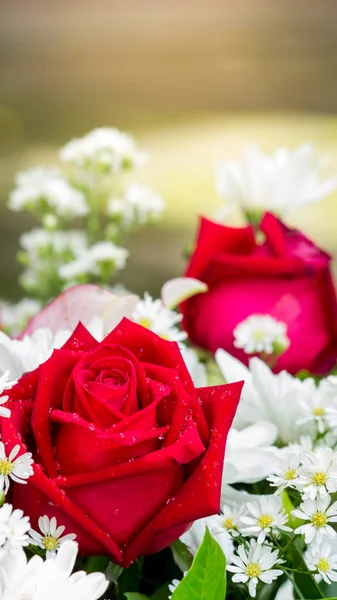 Röda rosor och vita blommor i buketten. — Stockfoto