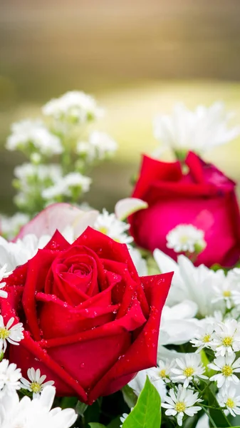 赤のバラと白い花の花束. ロイヤリティフリーのストック写真