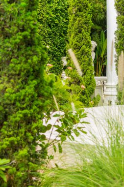 Rahatlatıcı rahat Bahçe uzayda.