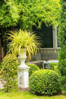 Gotik saksıyı Bahçe.