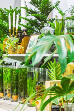 Rahatlatıcı rahat Bahçe alanında.