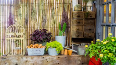 Rahatlatıcı rahat Bahçe alanında.