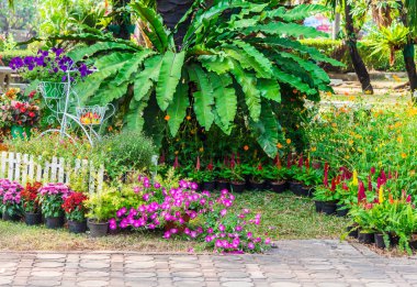 Yazları ev rahat bahçede.