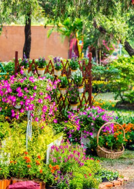 Yazları ev rahat bahçede.