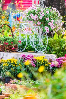 Yazları ev rahat bahçede.