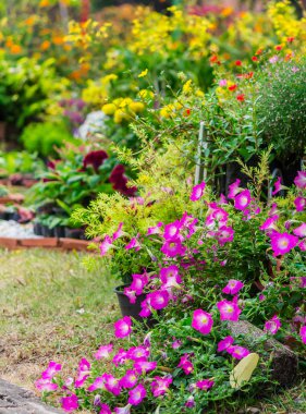 Yaz rahat ev Çiçek Bahçesi