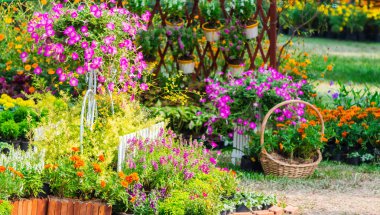 Yazları ev rahat bahçede.