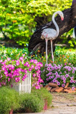 Yaz rahat ev Çiçek Bahçesi
