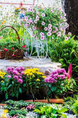 Yazları ev rahat bahçede.