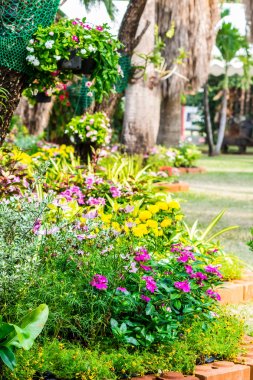 Yaz rahat ev Çiçek Bahçesi