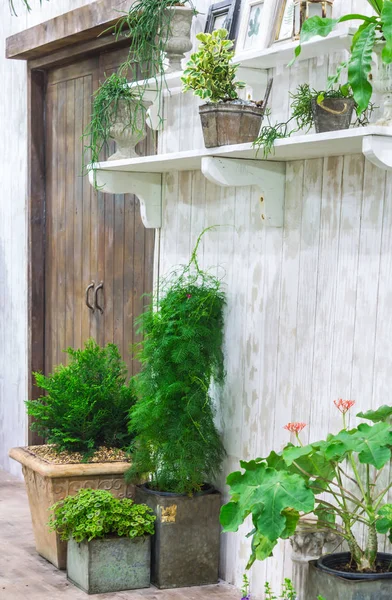 Rahatlatıcı rahat ev alanında.