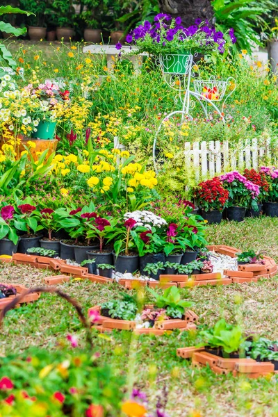 In casa accogliente giardino in estate . — Foto Stock