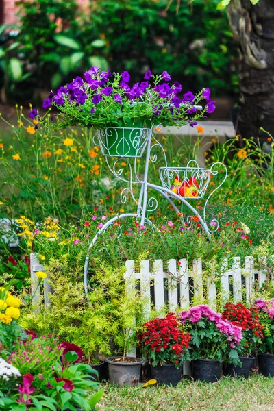 In casa accogliente giardino in estate . — Foto Stock