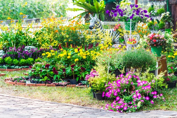 Dans le jardin confortable à la maison en été . — Photo