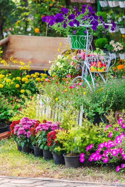 In casa accogliente giardino in estate . — Foto Stock