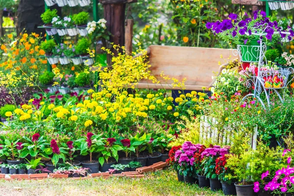 Aconchegante jardim de flores casa no verão — Fotografia de Stock