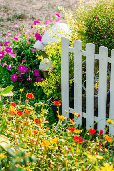 여름에 아늑한 집 꽃밭 — 스톡 사진