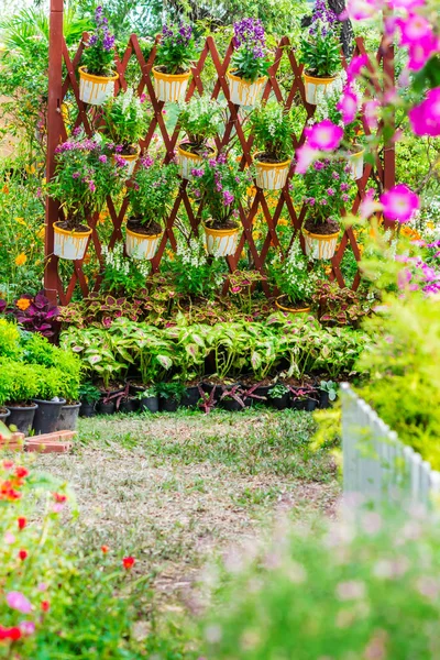 Aconchegante jardim de flores casa no verão — Fotografia de Stock