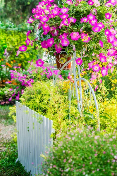 In casa accogliente giardino in estate . — Foto Stock