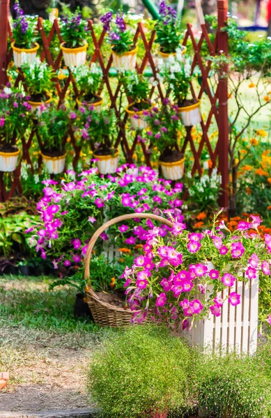 Accogliente giardino di fiori di casa in estate — Foto Stock