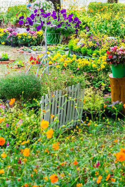 In home cozy garden on summer. — Stock Photo, Image