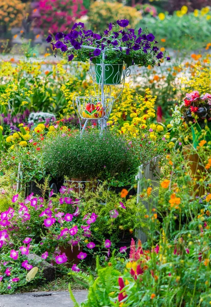 Im heimischen gemütlichen Garten im Sommer. — Stockfoto