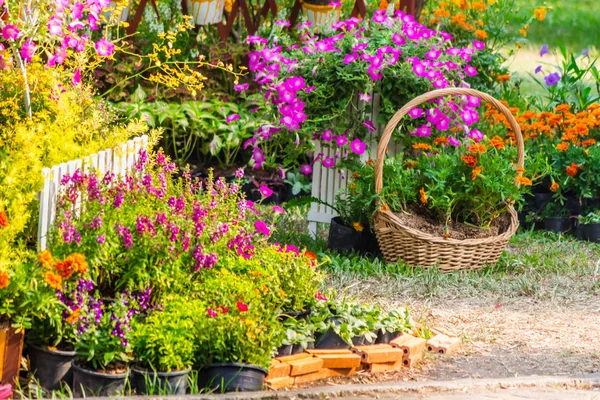 Accogliente giardino di fiori di casa in estate — Foto Stock