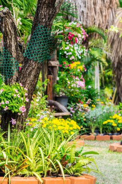 Yaz rahat ev Çiçek Bahçesi