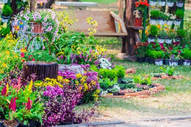 Yazları ev rahat bahçede.
