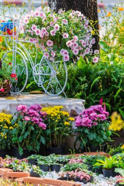 Yazları ev rahat bahçede.