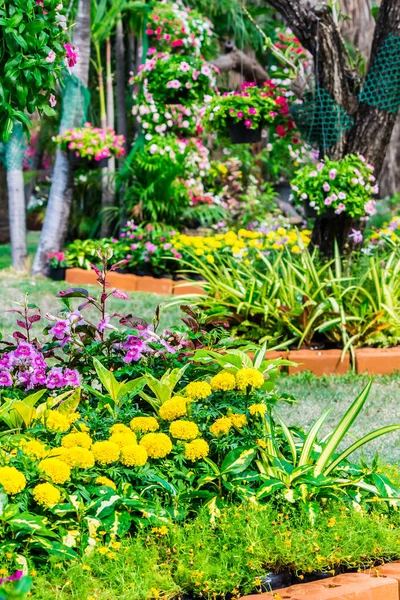 Aconchegante jardim de flores casa no verão — Fotografia de Stock