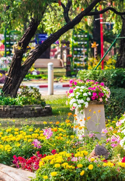 Gemütlicher Hausblumengarten im Sommer — Stockfoto