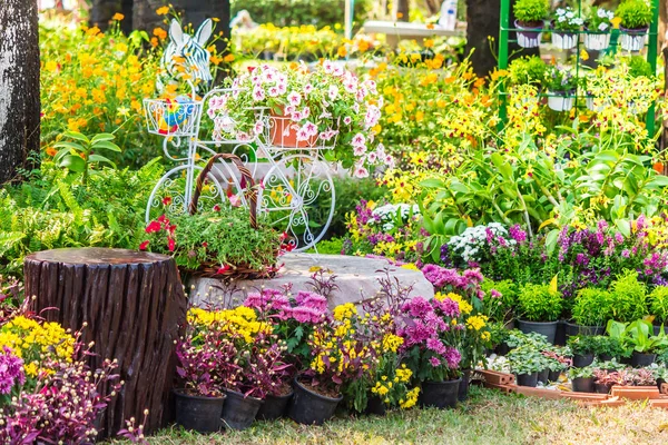 In casa accogliente giardino in estate . — Foto Stock