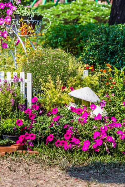 Cozy home flower garden on summer — Stock Photo, Image