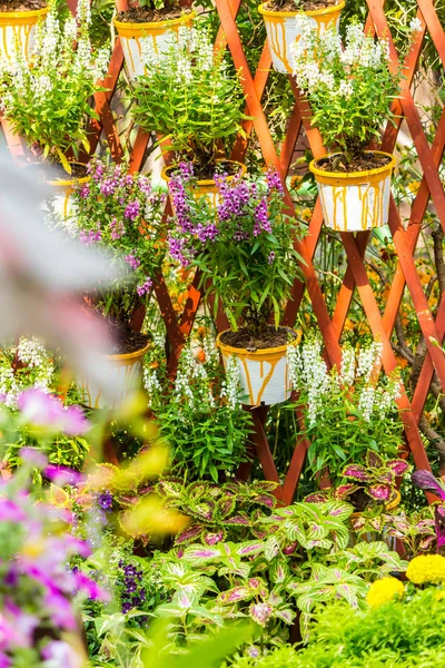 Aconchegante jardim de flores casa no verão — Fotografia de Stock