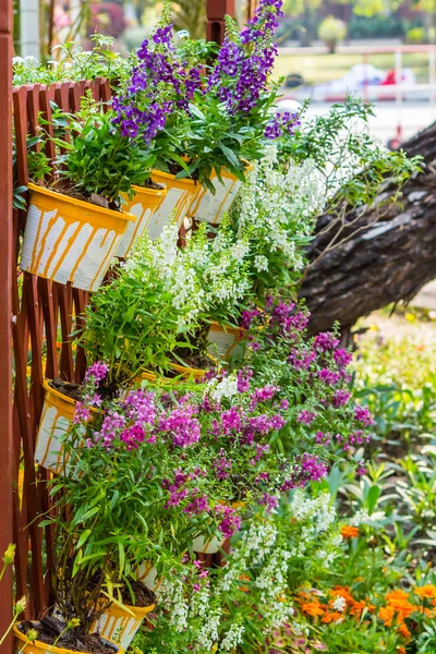 여름에 아늑한 집 꽃밭 — 스톡 사진